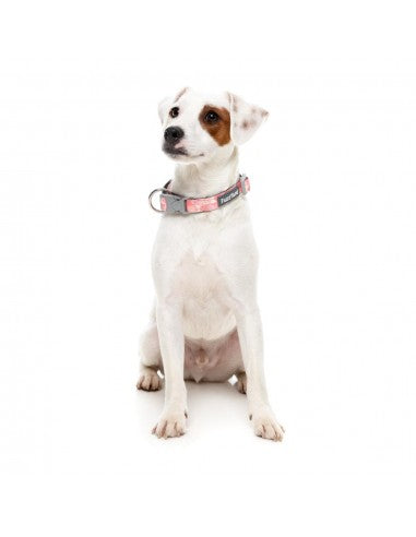 Collare in neoprene per cani FuzzYard Pink Lemonade (taglia S)