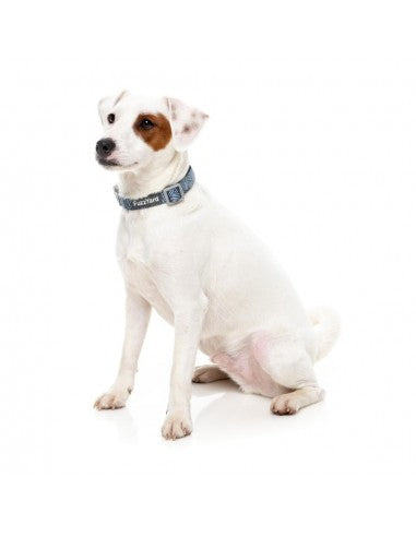 Collare in neoprene per cani FuzzYard Thornbury Aegean Blue (taglia M)