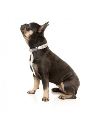 Collare imbottito in neoprene per cani FuzzYard Yazd (taglia M)
