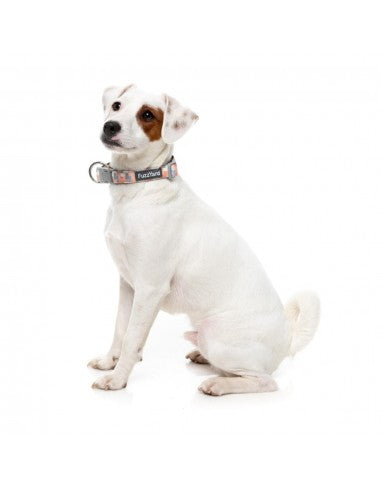 Collare imbottito in neoprene per cani FuzzYard Yazd (taglia S)