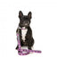 Guinzaglio in neoprene per cani FuzzYard Fiesta (taglia L)