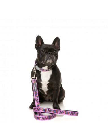 Guinzaglio in neoprene per cani FuzzYard Fiesta (taglia L)