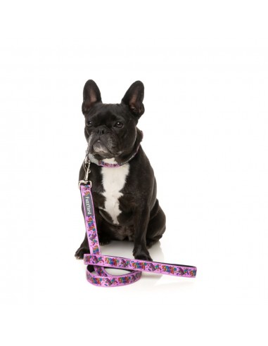 Guinzaglio in neoprene per cani FuzzYard Fiesta (taglia S)
