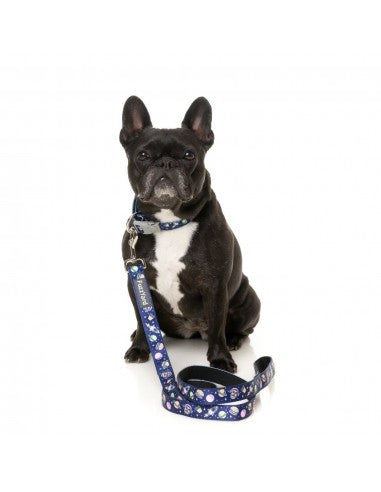 Guinzaglio in neoprene per cani FuzzYard Pluto Pup (taglia L)