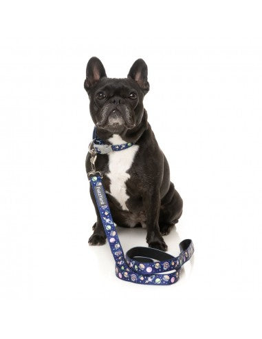 Guinzaglio in neoprene per cani FuzzYard Pluto Pup (taglia S)