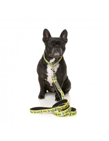 Guinzaglio in neoprene per cani FuzzYard Sk8ter Gator (taglia S)