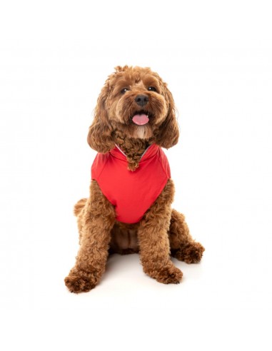 Impermeabile antivento per cani FuzzYard Breaker rosso