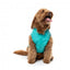 Impermeabile con cappuccio per cani FuzzYard Evo verde petrolio
