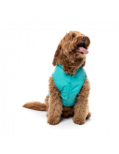 Impermeabile con cappuccio per cani FuzzYard Evo verde petrolio