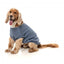 Maglione in cotone per cani FuzzYard Allday 25 blu