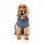 Maglione in cotone per cani FuzzYard Allday 25 blu