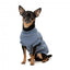 Maglione in cotone per cani FuzzYard Allday 25 blu