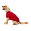 Maglione in cotone per cani FuzzYard Allday 25 rosso