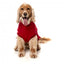 Maglione in cotone per cani FuzzYard Allday 25 rosso