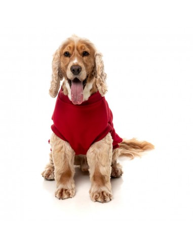 Maglione in cotone per cani FuzzYard Allday 25 rosso