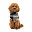 Maglione in teddy per cani FuzzYard Checkered Teddy nero e beige