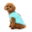 Maglioncino in maglia per cani FuzzYard FuzzBear aqua