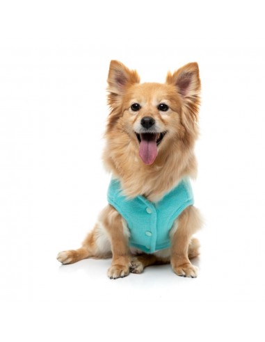 Maglioncino in maglia per cani FuzzYard FuzzBear aqua