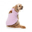 Maglioncino in maglia per cani FuzzYard FuzzBear lilla