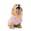 Maglioncino in maglia per cani FuzzYard FuzzBear lilla