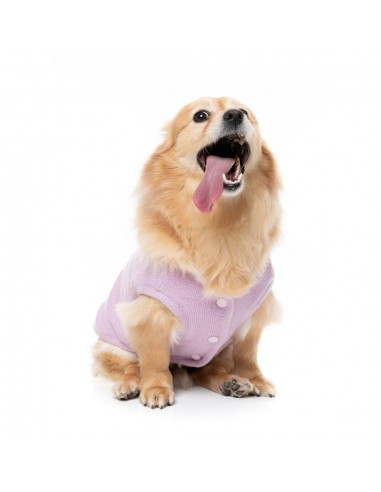 Maglioncino in maglia per cani FuzzYard FuzzBear lilla