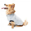 Maglione in peluche per cani FuzzYard Frosted Teddy blu navy