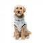 Maglione in peluche per cani FuzzYard Frosted Teddy blu navy