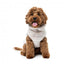 Maglione in peluche per cani FuzzYard Frosted Teddy latte