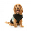 Felpa per cani FuzzYard Track, nero e salvia (taglia 1)