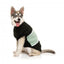 Felpa per cani FuzzYard Track, nero e salvia (taglia 1)