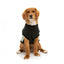 Felpa per cani FuzzYard Track, nero e salvia (taglia 1)