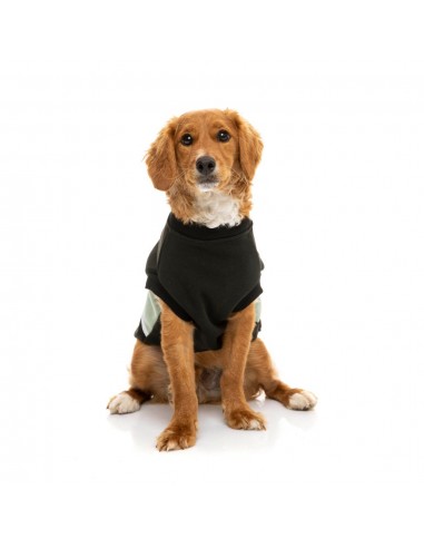 Felpa per cani FuzzYard Track, nero e salvia (taglia 1)