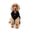 Maglione ricamato per cani FuzzYard Smiley nero