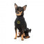 Maglione ricamato per cani FuzzYard Smiley nero