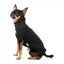 Maglione ricamato per cani FuzzYard Smiley nero