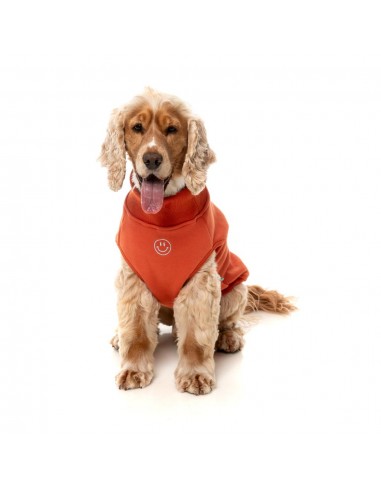 Maglione ricamato per cani FuzzYard Smiley ruggine