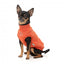 Maglione ricamato per cani FuzzYard Smiley ruggine