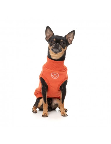 Maglione ricamato per cani FuzzYard Smiley ruggine