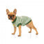 Felpa per cani FuzzYard Smiley Tie-rus, verde (taglia 1)