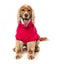 Maglione dolcevita per cani FuzzYard Stevie 25 magenta