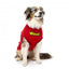 Maglione per cani FuzzYard The Woof, cotone rosso (taglia 1)