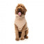 Maglione per cani FuzzYard Turtle Teddy 25 Desert Tan (taglia 1)