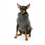 Maglione per cani FuzzYard Turtle Teddy antracite