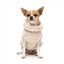 Maglione per cani FuzzYard Turtle Teddy beige