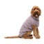 Maglione per cani FuzzYard Turtle Teddy lavanda