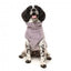 Maglione per cani FuzzYard Turtle Teddy lavanda