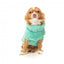 Maglione per cani FuzzYard Turtle Teddy verde petrolio