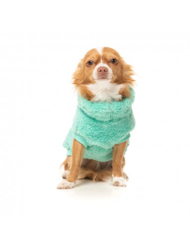 Maglione per cani FuzzYard Turtle Teddy verde petrolio