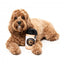 Peluche per cani FuzzYard Barkrista Puppuccino a forma di tazza di caffè