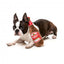 Peluche per cani FuzzYard Barking Beer a forma di bottiglia di birra